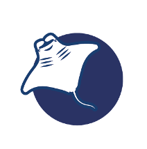 3-50783870-525-logo.png