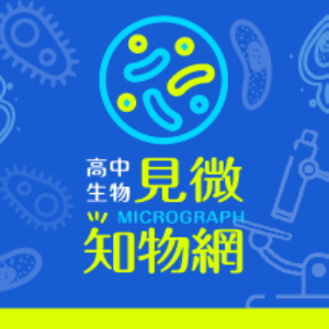 3-69382361-284-logo.png