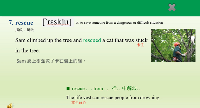 4-04249876-222-pic3.png