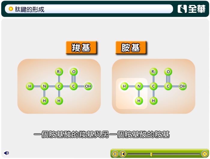 4-04383129-456-pic3.jpg