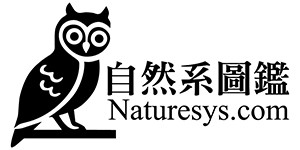 7-93259290-353-logo.jpg